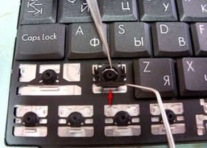 ремонт клавиатуры ноутбука после залития